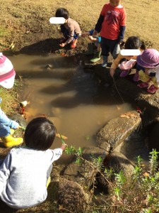 公園では川の水かさが増して、いつもと違う雰囲気に。大喜びの子ども達でした。