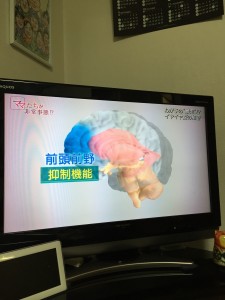 目先の欲求を我慢する力は、脳の〝前頭前野〟という部分の発達に影響があると言います。