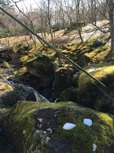 苔の美しさを堪能しながら、館内を目指します。