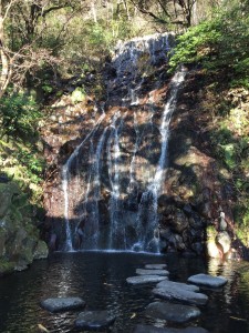 泊まった旅館の前にあった滝です。