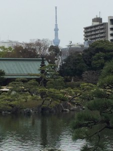 スカイツツリーと園内の塔をセットで見られるスポットも！